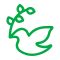 dove carrying olive branch
